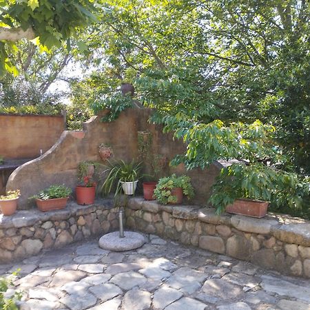 Casa Rural Can Jepet La Cellera de Ter Exteriér fotografie