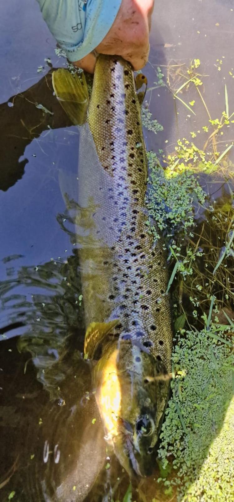 Casa Rural Can Jepet La Cellera de Ter Exteriér fotografie