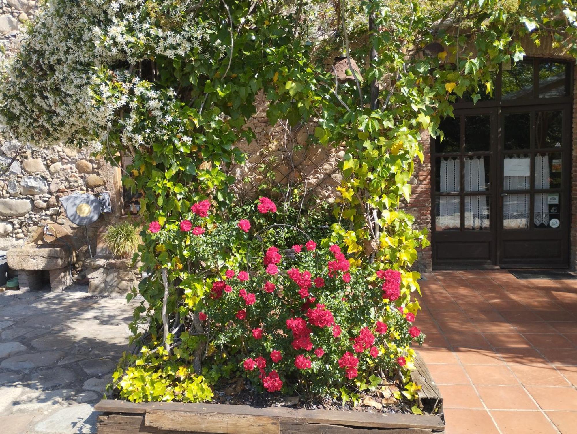 Casa Rural Can Jepet La Cellera de Ter Exteriér fotografie